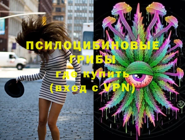 круглые Абаза