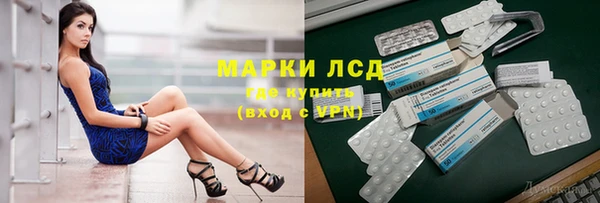 хмурый Алексин