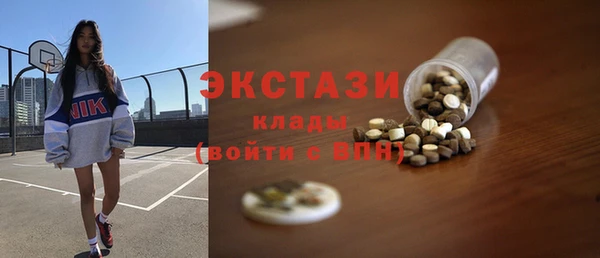 хмурый Алексин