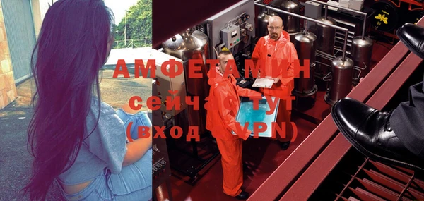 хмурый Алексин