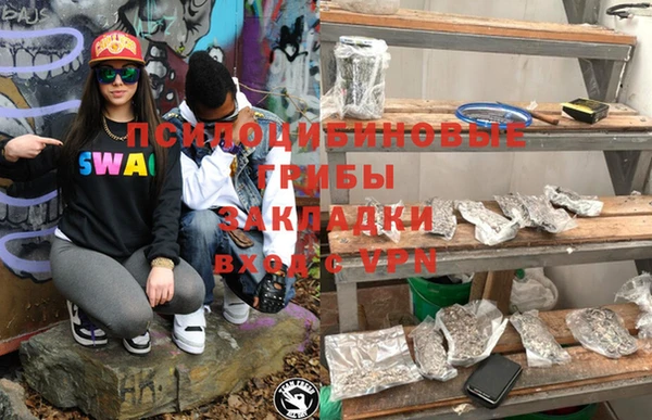 хмурый Алексин