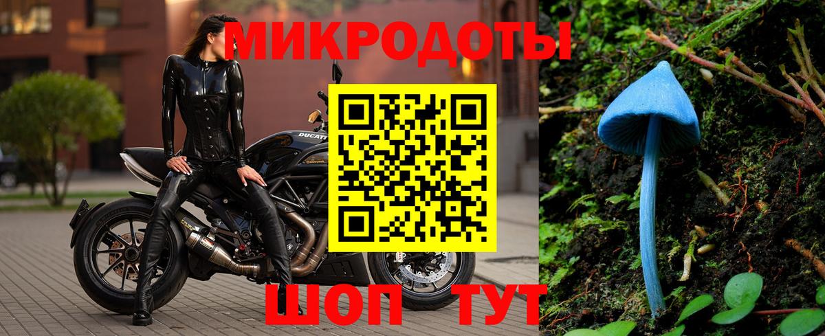 Псилоцибиновые грибы мицелий Советская Гавань