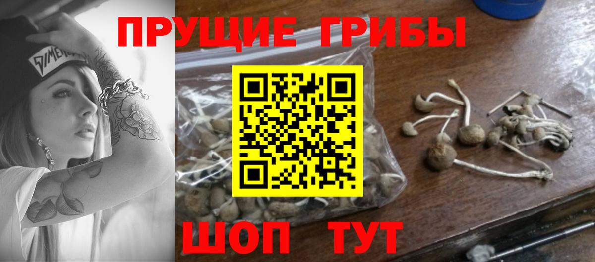 Псилоцибиновые грибы MAGIC MUSHROOMS  Вход с VPN  Псилоцибиновые грибы мухоморы  Советская Гавань 